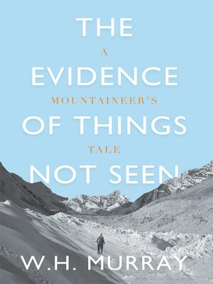 The Evidence of Things Not Seen - ebook